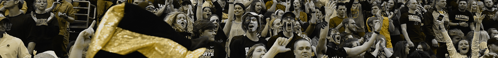 Harding University - Women's Basketball